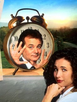 Today in Film History (February 12th, 1993): "Groundhog Day", Starring Bill Murray, is Released to U.S. Theaters!