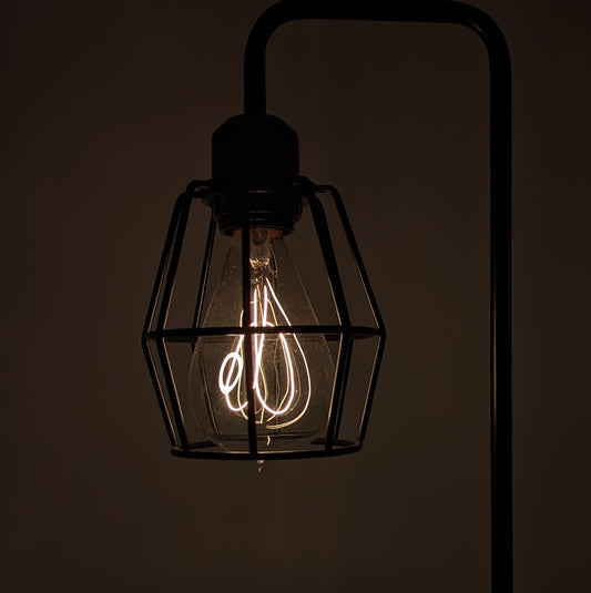 Edison Light Bulb (c. 1910)