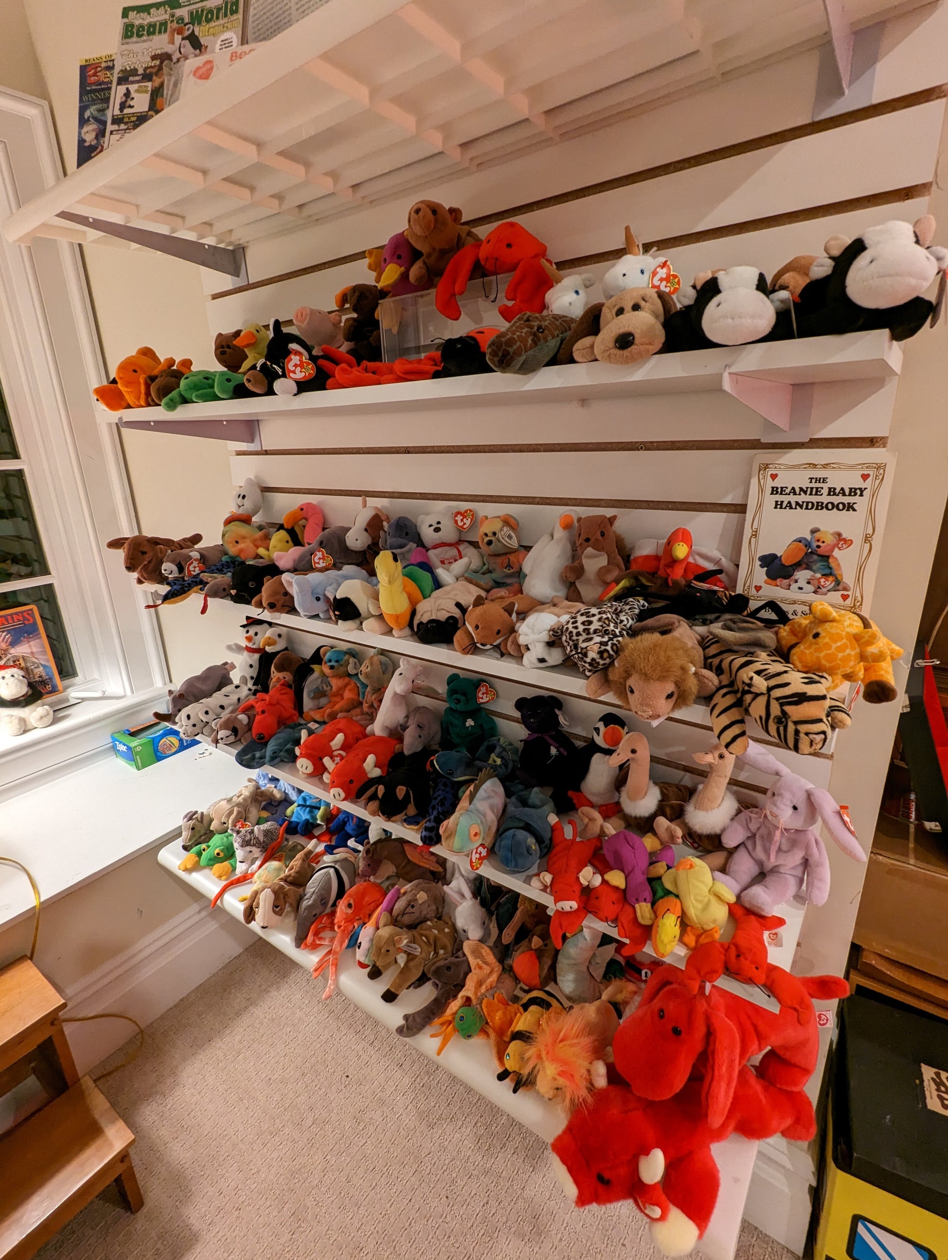 TY Beanie Babies in the 1990's (1993-2000