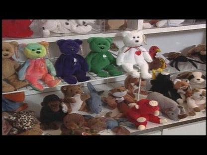TY Beanie Babies in the 1990's & BeanieNation.com (1993-2000)